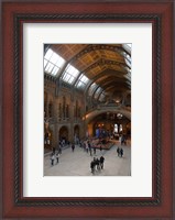Framed England, London, Natural History Museum Great Hall