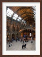 Framed England, London, Natural History Museum Great Hall