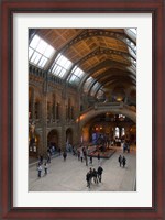 Framed England, London, Natural History Museum Great Hall