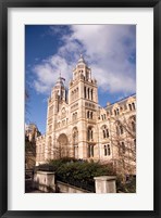 Framed Natural History Museum, London, United Kingdom