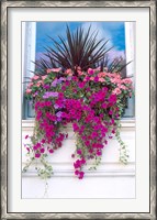 Framed Flower Box in London, England
