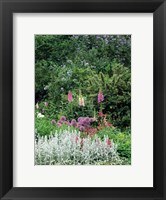 Framed Nash Garden, St James Park, London, England