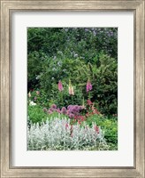 Framed Nash Garden, St James Park, London, England