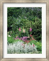 Framed Nash Garden, St James Park, London, England