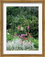 Framed Nash Garden, St James Park, London, England