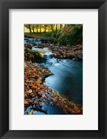 Framed Stream with Autumn Leaves, Forest of Dean, UK