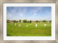 Framed Stone Display, Avebury, England