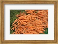 Framed Carrots, England