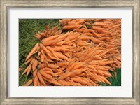 Framed Carrots, England