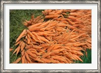 Framed Carrots, England