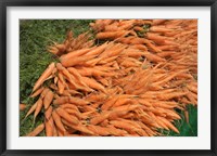 Framed Carrots, England