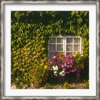 Framed Cottage, Devon, England