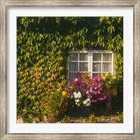 Framed Cottage, Devon, England