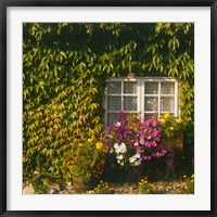 Framed Cottage, Devon, England