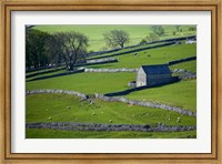 Framed Farmland, Stone Walls and Buildings, near Malham, Yorkshire Dales, North Yorkshire, England