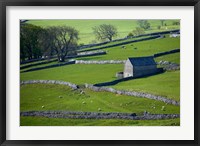 Framed Farmland, Stone Walls and Buildings, near Malham, Yorkshire Dales, North Yorkshire, England