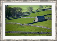 Framed Farmland, Stone Walls and Buildings, near Malham, Yorkshire Dales, North Yorkshire, England