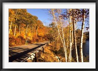 Framed Tranquil Road with Fall Colors in New England