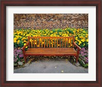 Framed England, Northumberland, Hexham, Park bench