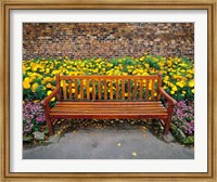 Framed England, Northumberland, Hexham, Park bench