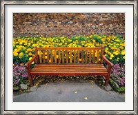 Framed England, Northumberland, Hexham, Park bench