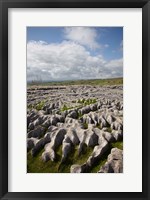 Framed Limestone Pavement, Malham Cove, Yorkshire Dales National Park, North Yorkshire, England