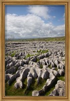 Framed Limestone Pavement, Malham Cove, Yorkshire Dales National Park, North Yorkshire, England