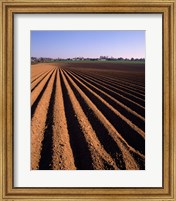 Framed Ploughed Field, Surrey, England