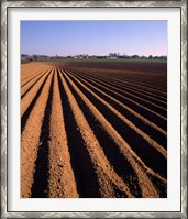 Framed Ploughed Field, Surrey, England