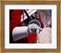 Framed Lifegaurd at Horseguards Parade, London, England