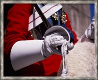 Framed Lifegaurd at Horseguards Parade, London, England