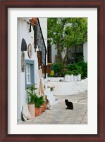 Framed Street View with Black Cat, Manolates, Samos, Aegean Islands, Greece