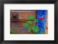 Framed Geraniums and old door in Chania, Crete, Greece