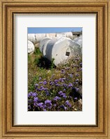 Framed Greece, Cyclades, Delos Ancient Architecture