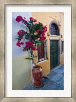 Framed Bougenvillia Vine in Pot, Oia, Santorini, Greece