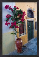 Framed Bougenvillia Vine in Pot, Oia, Santorini, Greece