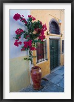 Framed Bougenvillia Vine in Pot, Oia, Santorini, Greece