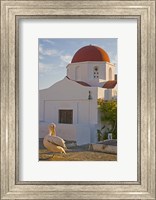 Framed White Pelican Preening, Hora, Mykonos, Greece
