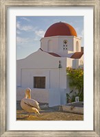 Framed White Pelican Preening, Hora, Mykonos, Greece