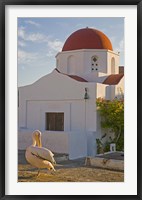 Framed White Pelican Preening, Hora, Mykonos, Greece