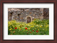 Framed Old building and wildflowers, Island of Spinalonga, Crete, Greece