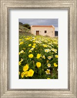 Framed Wildflowers and church of St, Island of Spinalonga, Crete, Greece