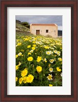 Framed Wildflowers and church of St, Island of Spinalonga, Crete, Greece