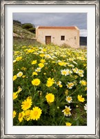 Framed Wildflowers and church of St, Island of Spinalonga, Crete, Greece