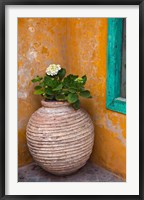 Framed Flower in pot, Crete, Greece