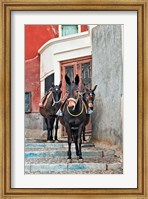 Framed Mules, Imerovigli, Santorini, Greece