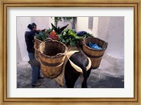 Framed Pack Mule at Market, Santorini, Greece