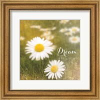 Framed Daisy Dreams