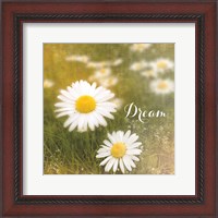 Framed Daisy Dreams
