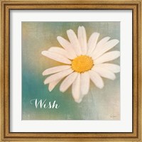 Framed Daisy Wishes